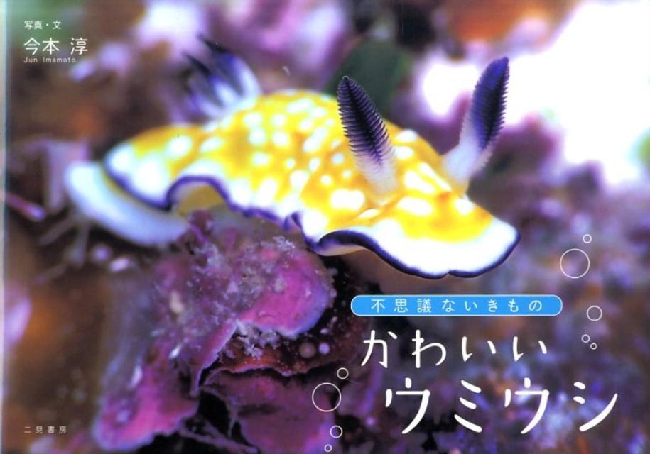 【中古】かわいいウミウシ 不思議ないきもの/二見書房/今本淳（単行本（ソフトカバー））
