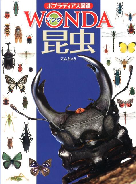 【中古】昆虫/ポプラ社/寺山守（大型本）