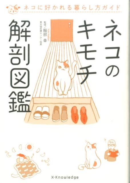 ����šۥͥ��Υ������˶�޴� �ͥ��˹��������餷��������/�������ʥ�å�/��������ñ���ܡʥ��եȥ��С��ˡ�