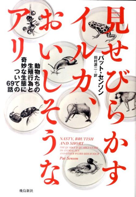 【中古】見せびらかすイルカ、おいしそうなアリ 動物たちの生殖行為と奇妙な生態についての69話/飛鳥新社/パット・センソン（単行本）