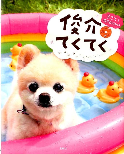 【中古】俊介てくてく/宝島社（単行本）