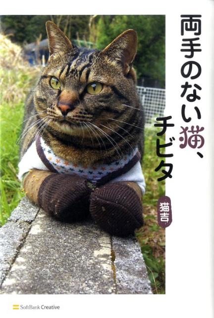 ◆◆◆非常にきれいな状態です。中古商品のため使用感等ある場合がございますが、品質には十分注意して発送いたします。 【毎日発送】 商品状態 著者名 猫吉 出版社名 SBクリエイティブ 発売日 2009年06月 ISBN 9784797352818