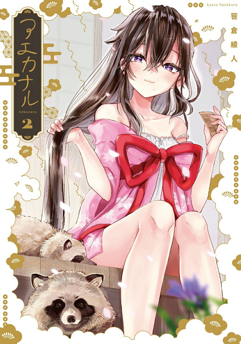 Fantasy C - 【中古】アエカナル 2/KADOKAWA/笹倉綾人（コミック）