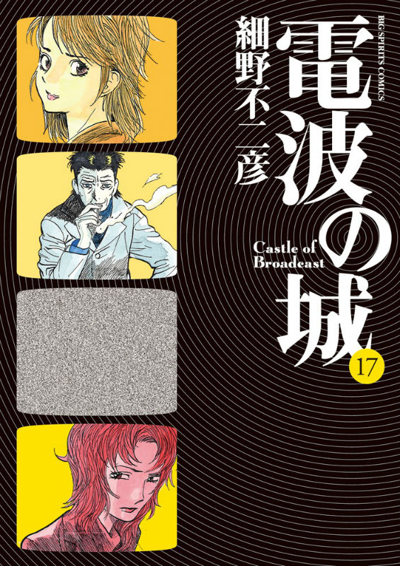 Sunday Gx C - 【中古】電波の城 17/小学館/細野不二彦（コミック）