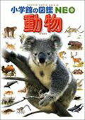 【中古】動物/小学館/三浦慎悟（大型本）