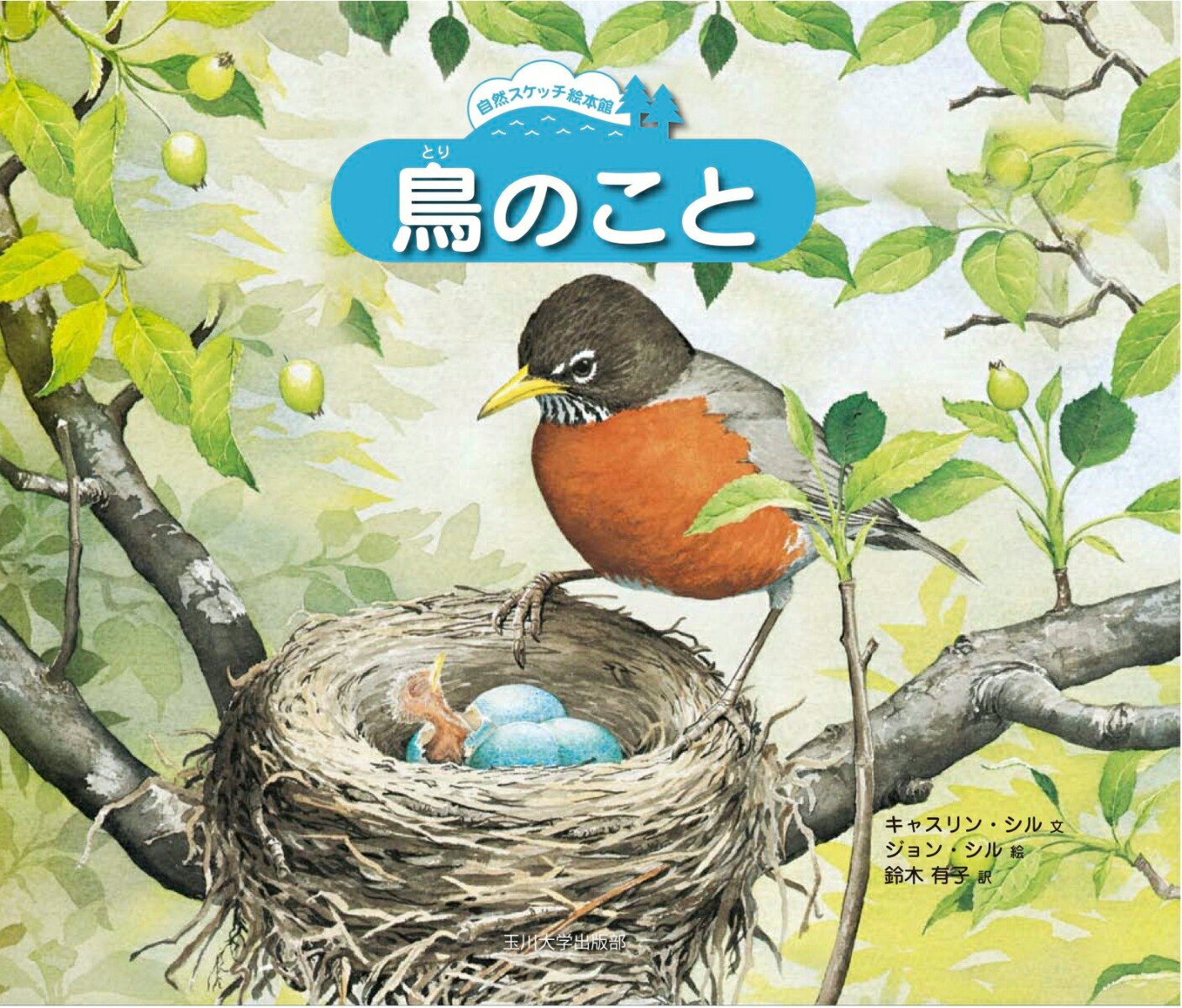 【中古】鳥のこと/玉川大学出版部/キャスリン・P．シル（単行本）