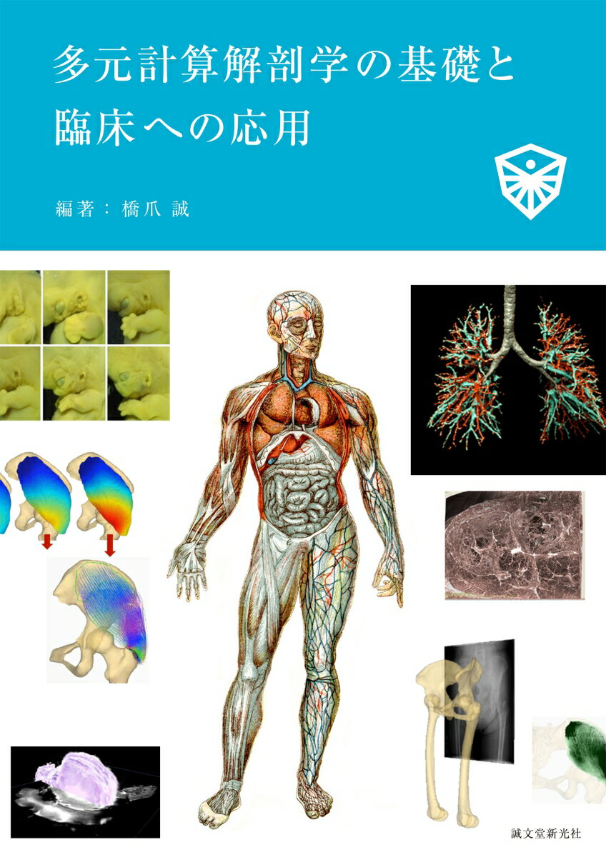 【中古】多元計算解剖学の基礎と臨床への応用/誠文堂新光社/橋爪誠（大型本）