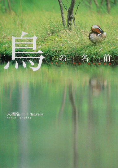 【中古】鳥の名前/東京書籍/大橋弘一（単行本）