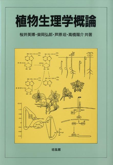 【中古】植物生理学概論/培風館/桜井英博（単行本）