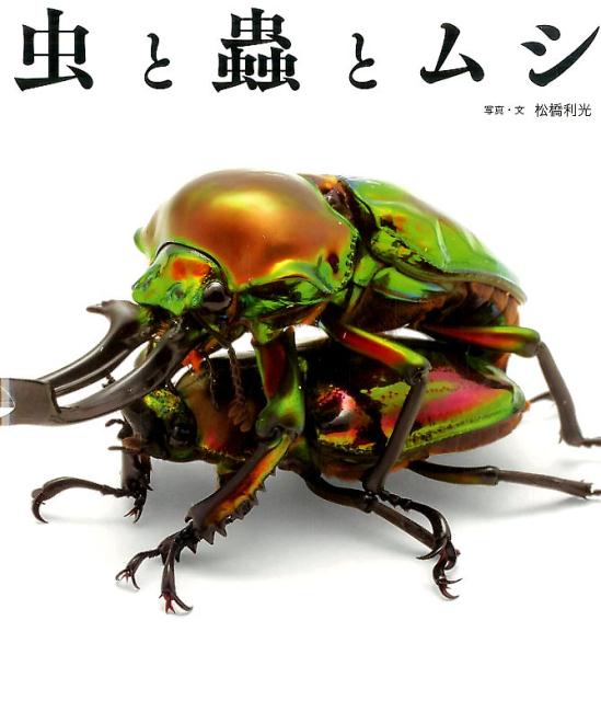 【中古】虫と蟲とムシ/グラフィック社/松橋利光（単行本）