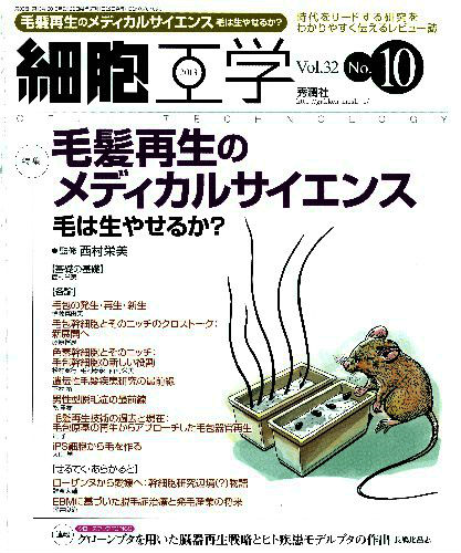 【中古】細胞工学　13年10月号 32-10/学研メディカル秀潤社（大型本）
