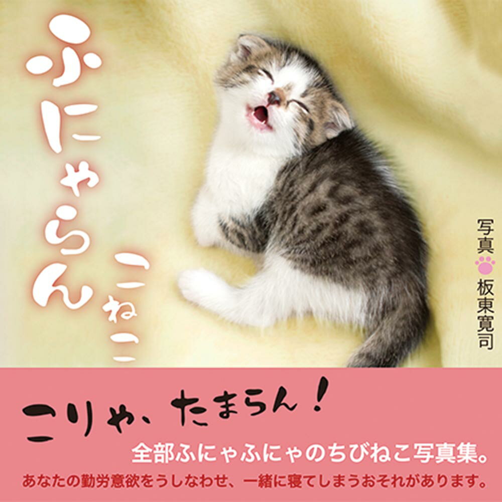 【中古】ふにゃらんこねこ/秀和システム新社/板東寛司（単行本）