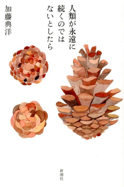 【中古】人類が永遠に続くのではないとしたら/新潮社/加藤典洋（単行本）