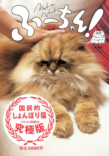 【中古】ふ-ちゃん！/左右社/牧野直樹（単行本）