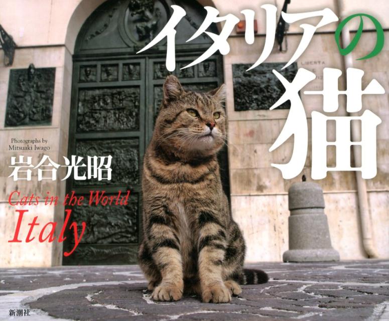 【中古】イタリアの猫/新潮社/岩合光昭（大型本）
