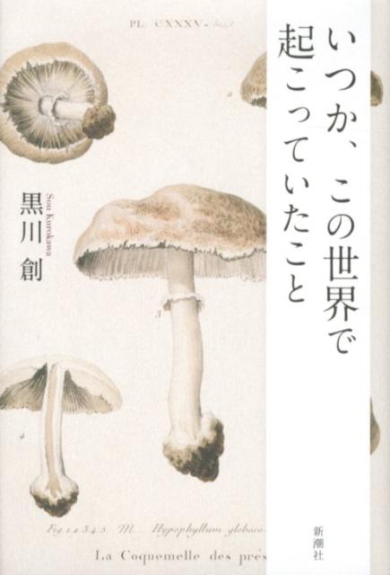 【中古】いつか、この世界で起こっていたこと/新潮社/黒川創（単行本）