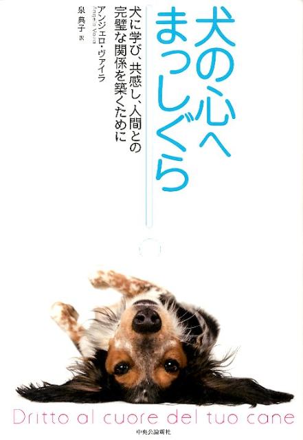 獣医師が考案した一汁一菜長生き犬ごはん こだわりの安心レシピ＆作り置きOK！ [ 林 美彩 ]