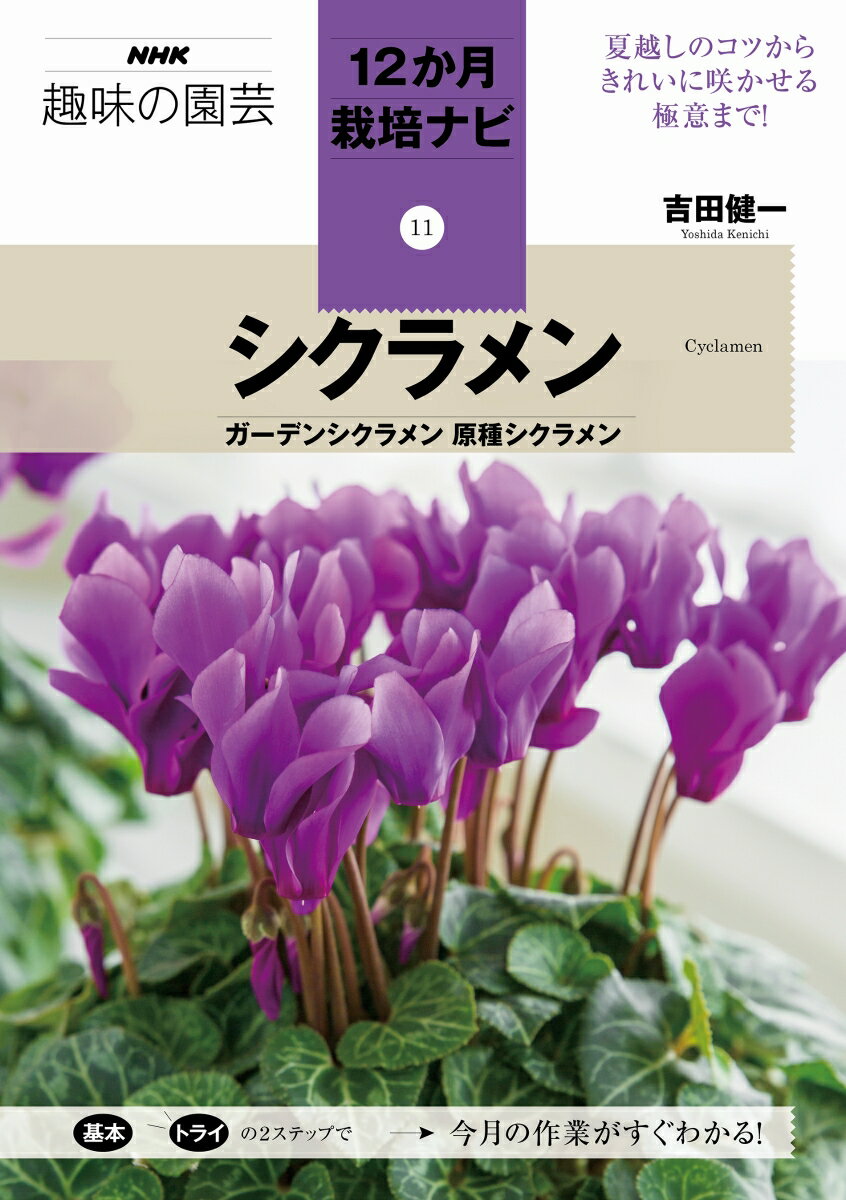 【中古】シクラメン ガーデンシクラメン　原種シクラメン/NHK出版/吉田健一（園芸）（単行本）...
