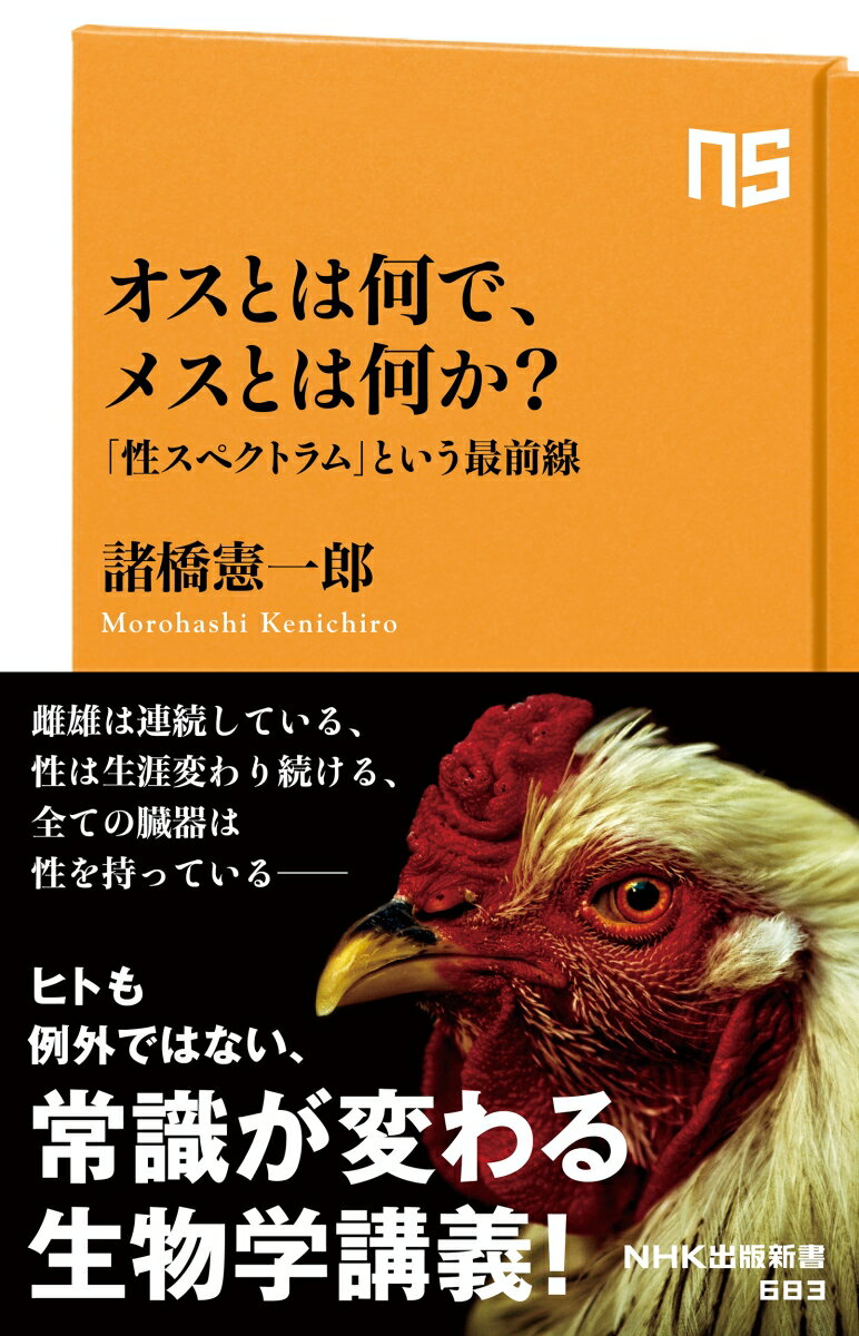 【中古】オスとは何で、メスとは何か？ 「性スペクトラム」という最前線/NHK出版/諸橋憲一郎（新書）