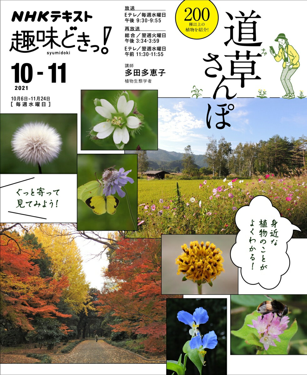 【中古】道草さんぽ/NHK出版/多田多恵子（ムック）