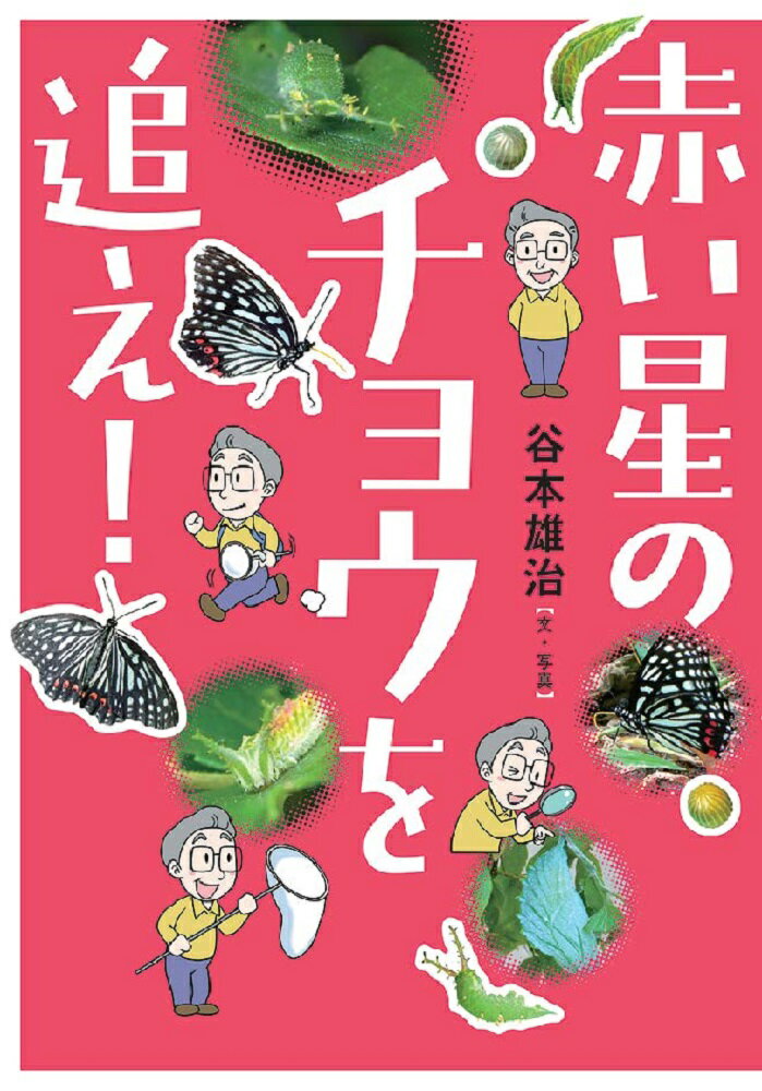 【中古】赤い星のチョウを追え！/文研出版/谷本雄治（単行本）