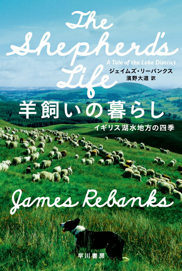 【中古】羊飼いの暮らし イギリス湖水地方の四季/早川書房/ジェイムズ リーバンクス（文庫）