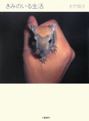 【中古】きみのいる生活/文藝春秋/大竹昭子（単行本）