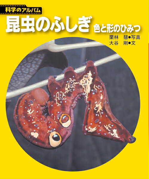 【中古】昆虫のふしぎ 色と形のひみつ 新装版/あかね書房/栗林慧（単行本）
