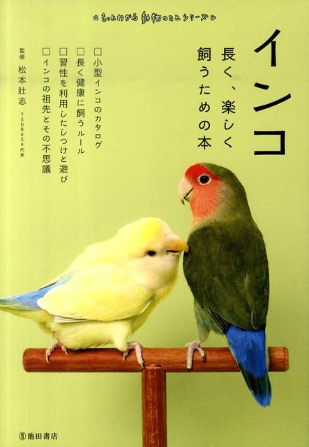 【中古】インコ 長く、楽しく飼うための本/池田書店/松本壯志（単行本）