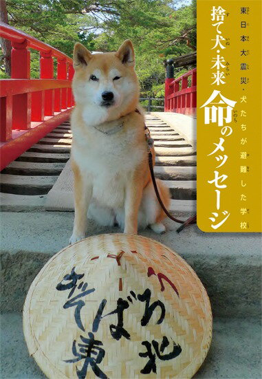【中古】捨て犬・未来命のメッセ-ジ 東日本大震災・犬たちが避難した学校/岩崎書店/今西乃子（単行本）