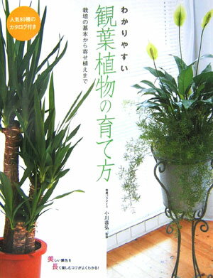 【中古】わかりやすい観葉植物の育て方 栽培の基本から寄せ植えまで/大泉書店/小川恭弘（単行本）
