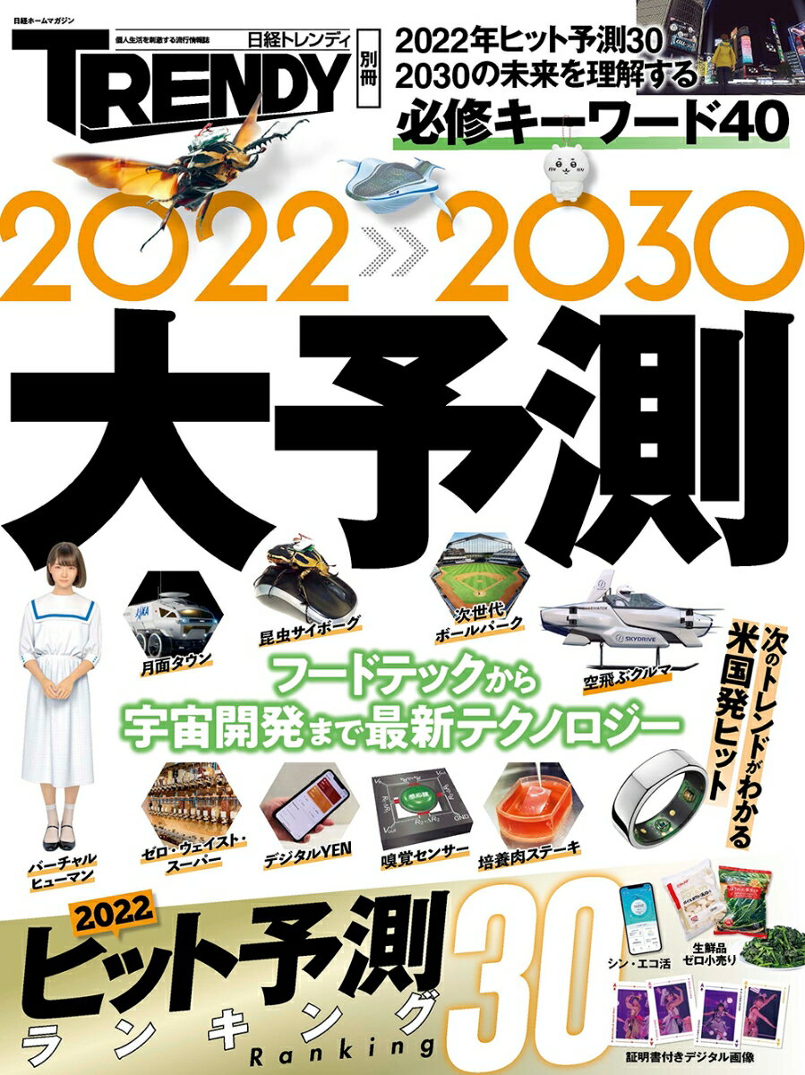 【中古】2022-2030大予測 2022年ヒット予測30　2030の未来を理解する/日経BP（ムック）