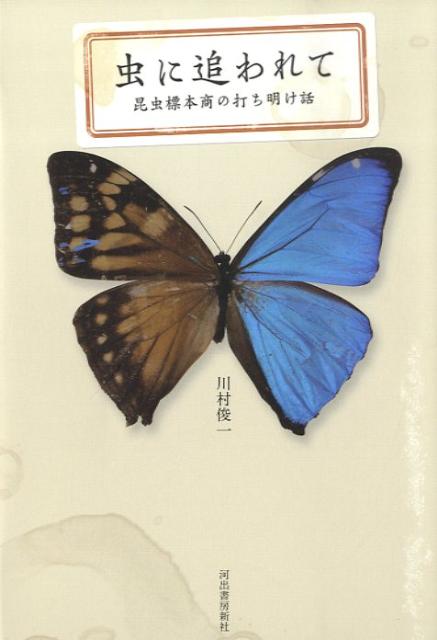 【中古】虫に追われて 昆虫標本商の打ち明け話/河出書房新社/川村俊一（単行本）