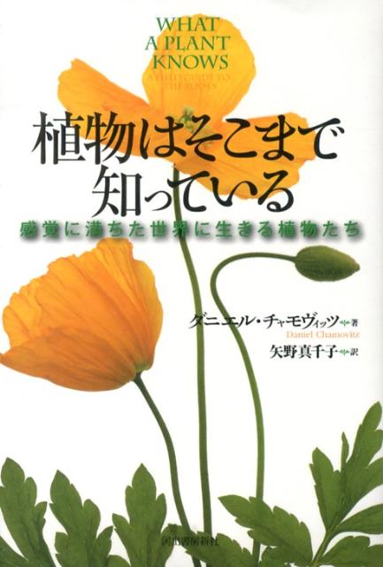 【中古】植物はそこまで知っている 感覚に満ちた世界に生きる植物たち/河出書房新社/ダニエル・チャモヴィッツ（単行本）
