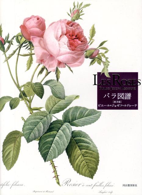 【中古】バラ図譜 普及版/河出書房新社/ピエ-ル・ジョゼフ・ルドゥ-テ（大型本）