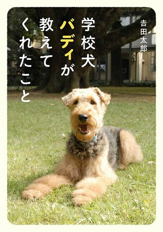 【中古】学校犬バディが教えてくれたこと/金の星社/吉田太郎（単行本）