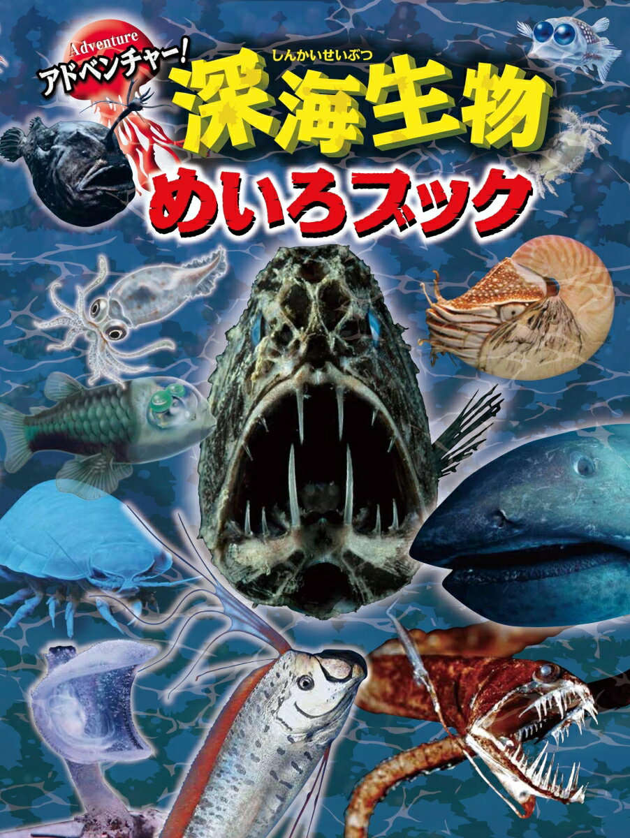 【中古】アドベンチャー！深海生物めいろブック/金の星社/WILLこども知育研究所（大型本）
