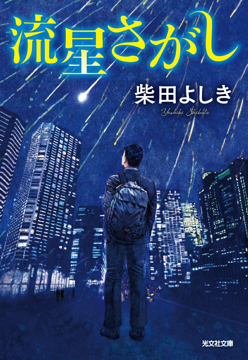 【中古】流星さがし/光文社/柴田よしき（文庫）