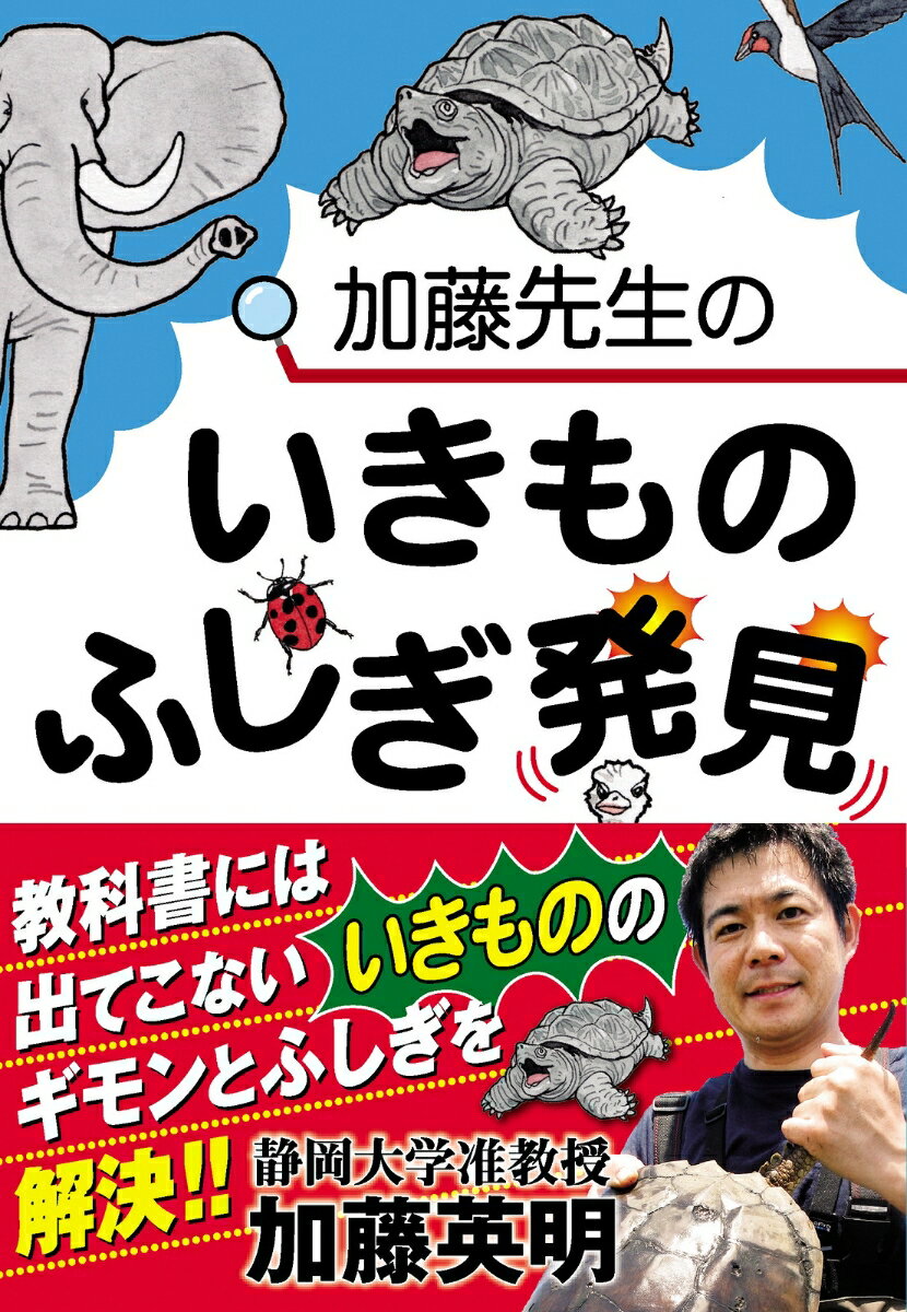 【中古】加藤先生のいきものふしぎ発見/新星出版社/加藤英明（単行本）