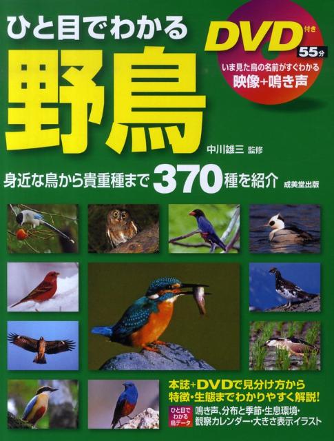 【中古】ひと目でわかる野鳥/成美堂出版/中川雄三（単行本（ソフトカバー））