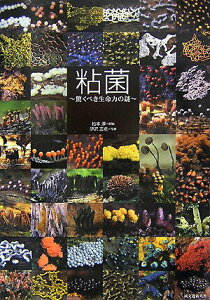 【中古】粘菌 驚くべき生命力の謎/誠文堂新光社/松本淳(粘菌分類学)(大型本)