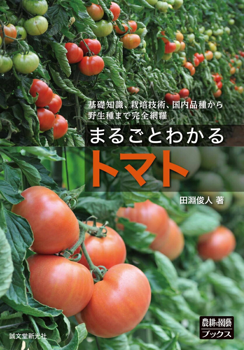◆◆◆非常にきれいな状態です。中古商品のため使用感等ある場合がございますが、品質には十分注意して発送いたします。 【毎日発送】 商品状態 著者名 田淵俊人 出版社名 誠文堂新光社 発売日 2017年05月24日 ISBN 9784416517963