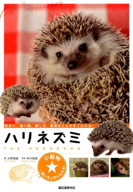 šۥϥͥ/ʸƲ/𳨡ñܡ