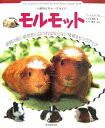【中古】モルモット 小動物ビギナ-ズガイド/誠文堂新光社/すずき莉萌(単行本)