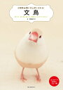 【中古】小動物★飼い方上手になれる!文鳥 育て方、食べ物、接し方、病気のことがすぐわかる!/誠文堂新光社/伊藤美代子(単行本)