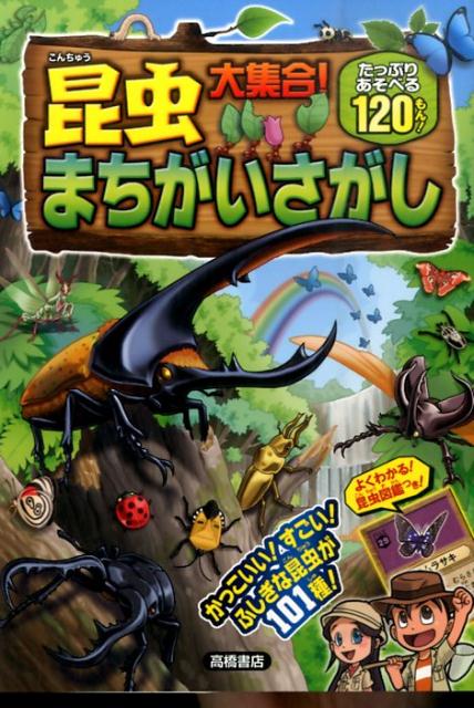 ����šۺ����罸�硪�ޤ����������� ���äפꤢ���٤�120���/�ⶶ��Ź/�ۥꥰ���ҥ�����ñ���ܡʥ��եȥ��С��ˡ�