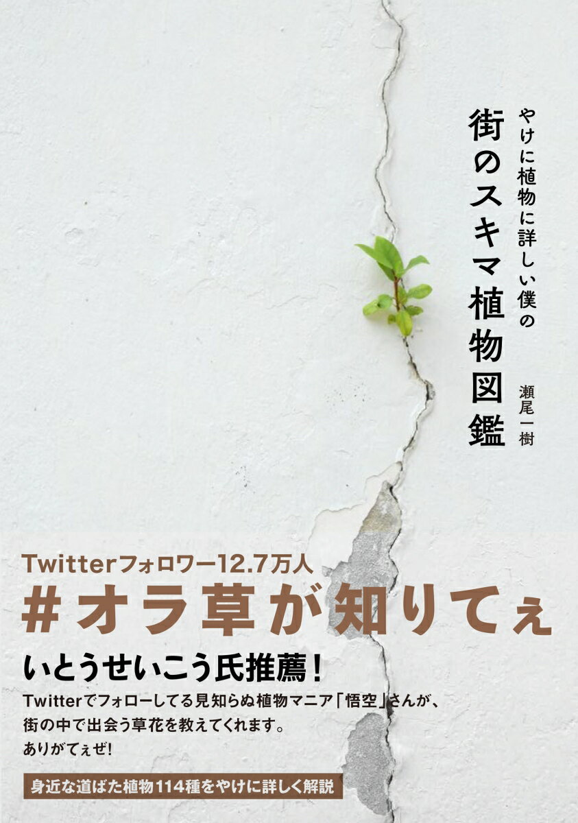 【中古】やけに植物に詳しい僕の街のスキマ植物図鑑/大和書房/瀬尾一樹（単行本（ソフトカバー））