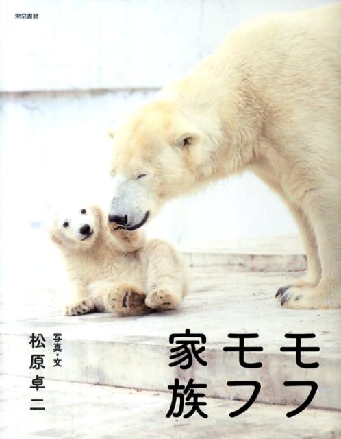 【中古】モフモフ家族/東京書籍/松原卓二（単行本（ソフトカバー））