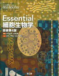 【中古】Essential細胞生物学 原書第4版/南江堂/ブル-ス・アルバ-ツ（大型本）
