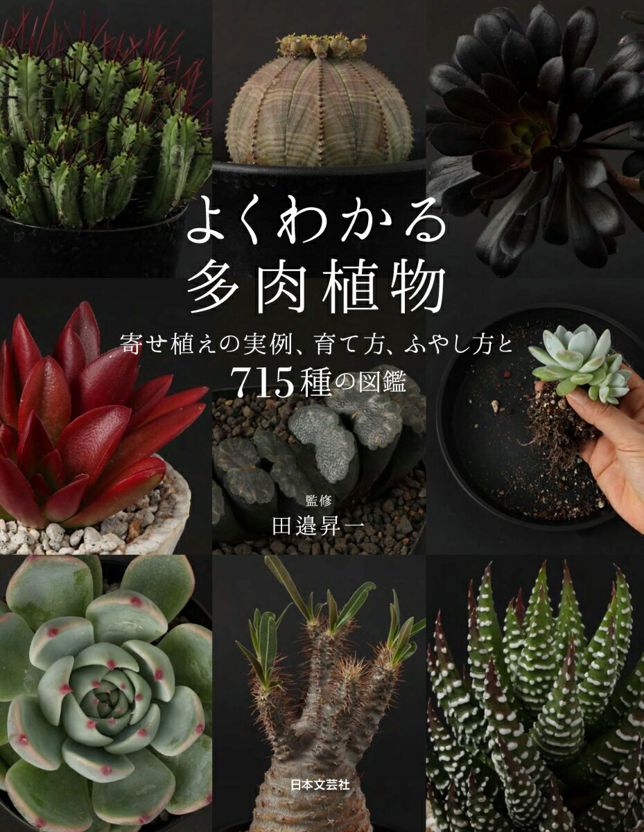 【中古】よくわかる多肉植物 寄せ植えの実例、育て方・ふやし方と715種の図鑑/日本文芸社/田邉昇一（単..